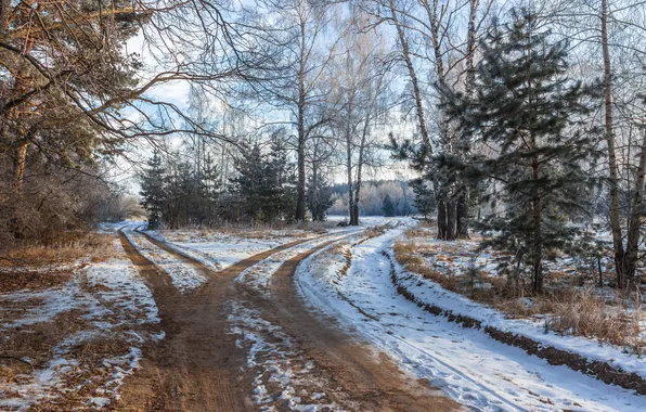 Картинка зима, иней, лес, снег, природа, заповедник, Руслан Востриков