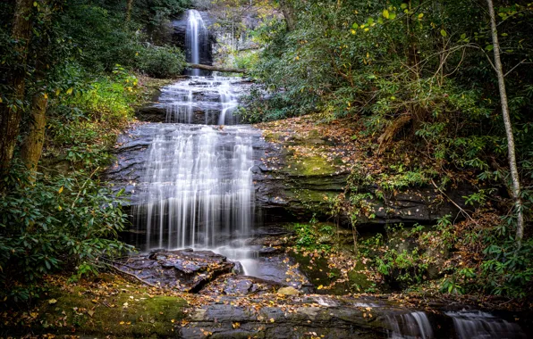 Картинка водопад, деревья, мох, листья, США, Georgia, лес, ручей