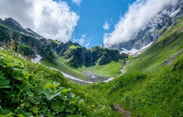 Трава, облака, горы, луг, ущелье, Switzerland
