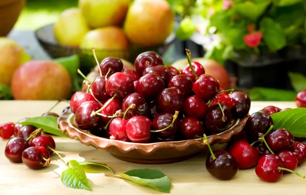 Вишня, ягоды, миска, fresh, черешня, sweet, cherry, berries