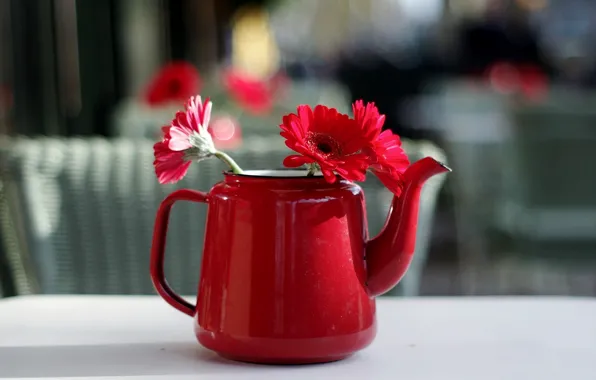 Картинка цветы, фон, чайник