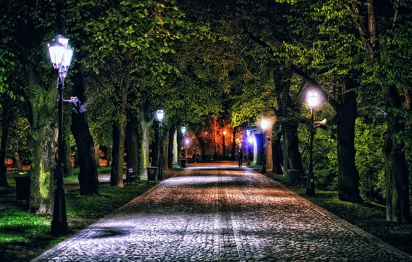 Картинка деревья, ночь, огни, парк, Польша, фонари, дорожка, аллея