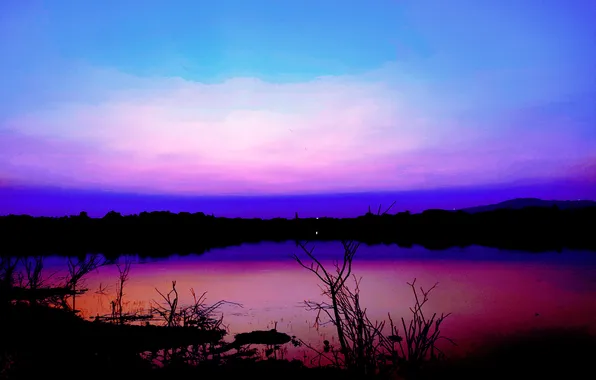 Sun, Water, Sunrise, Dawn, Morning, Lake, Trees, Reflection