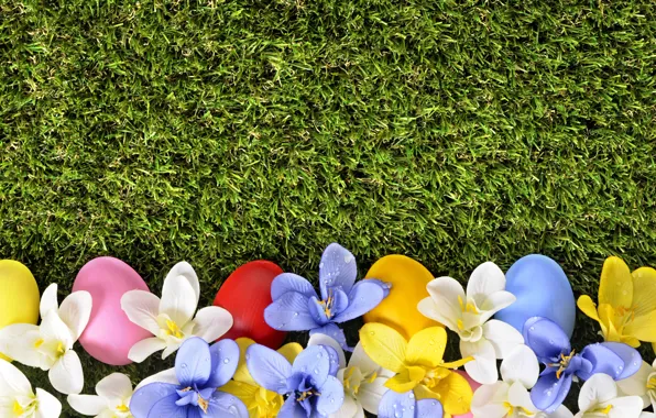 Трава, цветы, весна, Пасха, flowers, spring, Easter, eggs
