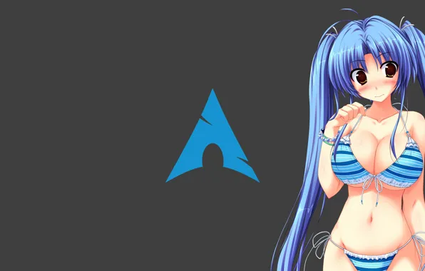 Boobs, blue, Arch Linux, bikini