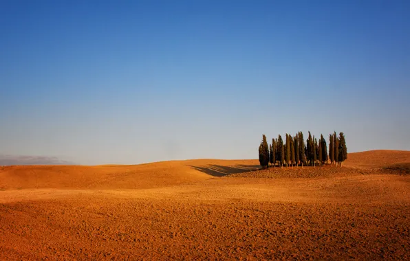 Картинка деревья, Италия, Тоскана, пашня