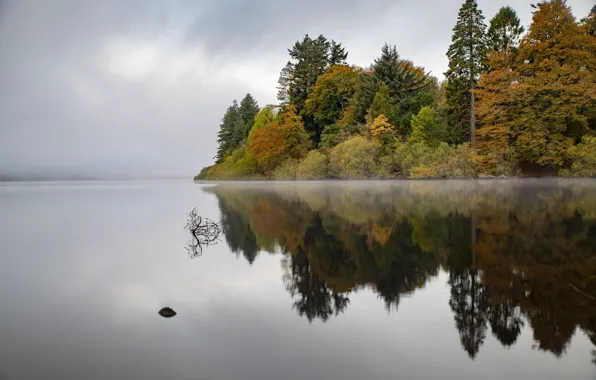Reflection, Wales, Lake Vyrnwy, Powys, Llanwddyn