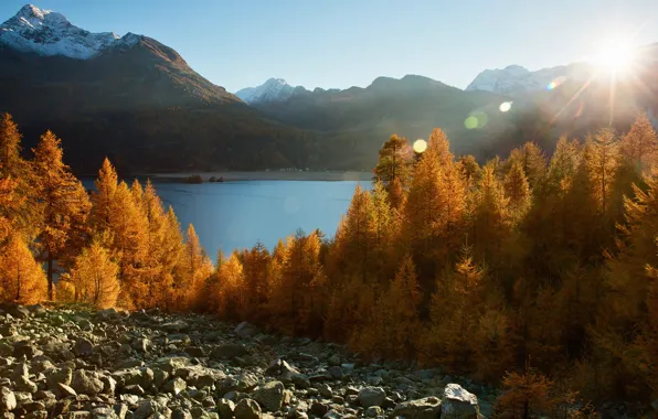 Осень, лес, солнце, лучи, свет, горы, блики, камни