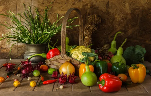Урожай, натюрморт, овощи, autumn, still life, vegetables, harvest