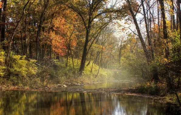 Осень, лес, река