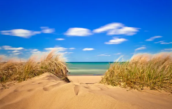 Картинка песок, море, небо, трава, облака
