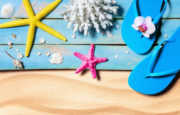 Пляж, лето, звезды, отдых, ракушки, summer, beach, каникулы