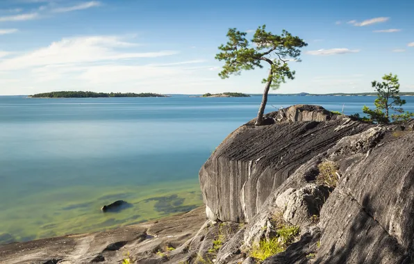 Картинка небо, скала, озеро, дерево, берег, остров