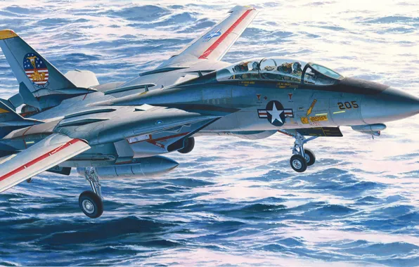 Tomcat, ВМС США, истребитель четвёртого поколения, F-14A, реактивный многоцелевой, Grumman Corporation, Двухместный всепогодный истребитель-перехватчик