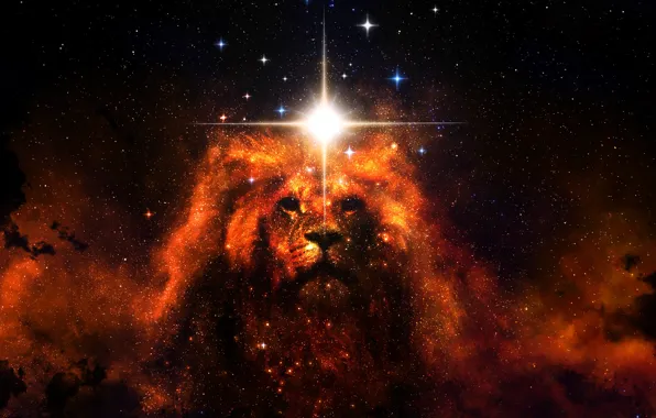Картинка космос, звезды, лев, грива