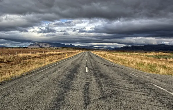 Дорога, поле, природа