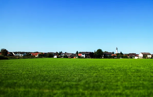 Картинка поле, небо, трава, синий, деревня