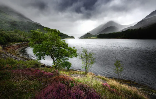 Scotland, Carnach, Beautiful Loch Leven
