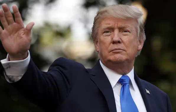 USA, США, Соединённые Штаты Америки, United States of America, Donald Trump, Дональд Трамп, 45-й президент …
