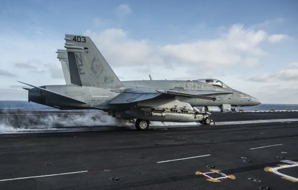 Бомбардировщик, Hornet, палубный истребитель, FA-18C