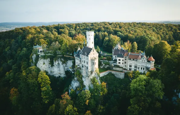 Осень, лес, скала, замок, Германия, Germany, Лихтенштайн, Lichtenstein