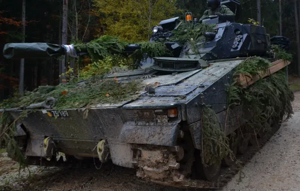 Weapon, tank, armored, military vehicle, armored vehicle, armed forces, military power, war materiel