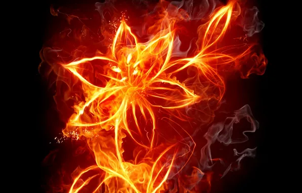 Картинка цветок, огонь