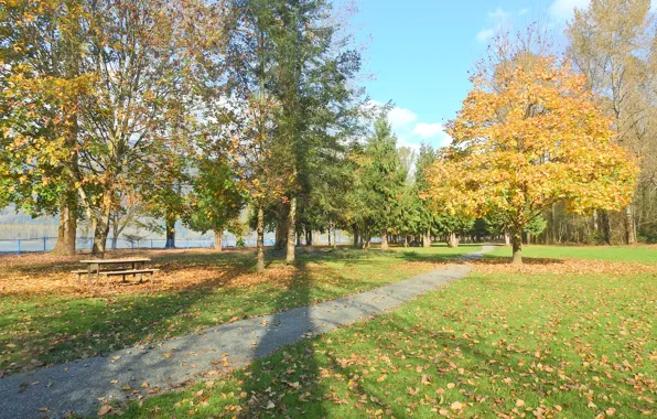 Картинка Осень, Парк, Fall, Листва, Дорожка, Park, Autumn, Colors