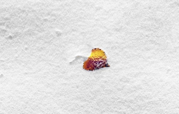 Картинка зима, снег, лепесток