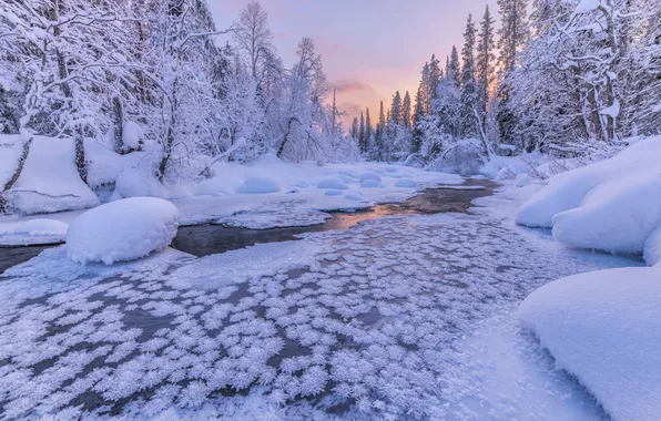 Картинка зима, лес, снег, деревья, река, сугробы, Россия, Кольский полуостров