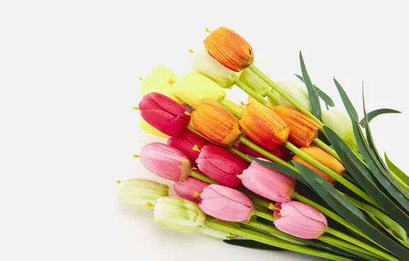 Цветы, весна, colorful, тюльпаны, flowers, tulips, spring