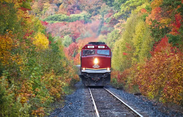 Картинка дорога, осень, листья, деревья, рельсы, поезд, склон