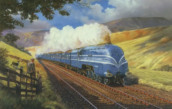 Картинка собаки, природа, дым, рельсы, вагоны, Поезд, локомотив, мужчина