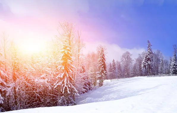 Картинка зима, снег, деревья, пейзаж, горы, природа