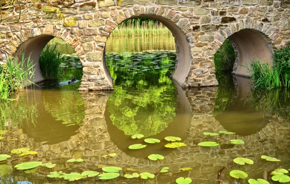 Вода, мост, природа, пруд, арка