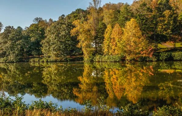 Осень, солнце, деревья, озеро, отражение, желтые, США, Virginia
