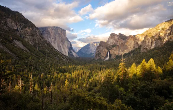 United States, California, Yosemite Valley, Foresta, Sunset Light