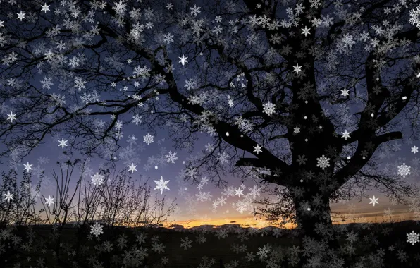 Картинка ночь, дерево, снежнки