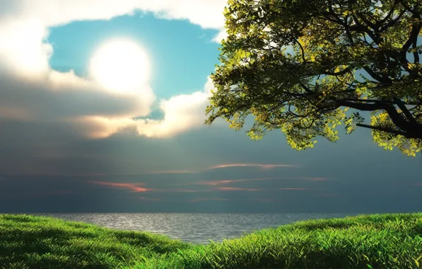 Картинка небо, облака, деревья, озеро, солнце. трава