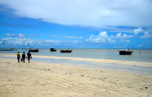 Nature, Landscapes, Brazil, Bahia, South American