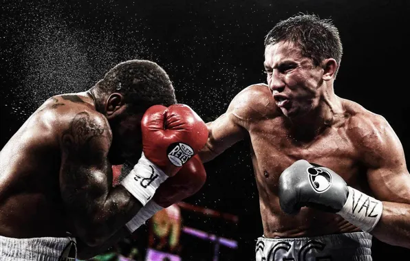 Usa, kazakhstan, ggg, головкин, triple g, генадий, golovkin