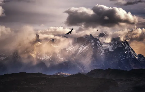 Картинка облака, горы, птицы, Анды, Южная Америка, кондор