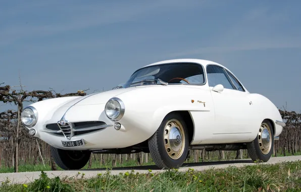 Картинка белый, небо, 1960, Alfa Romeo, классика, передок, Speciale, Giulietta