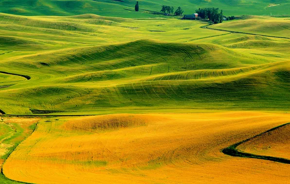 Картинка осень, трава, холмы, поля, Италия