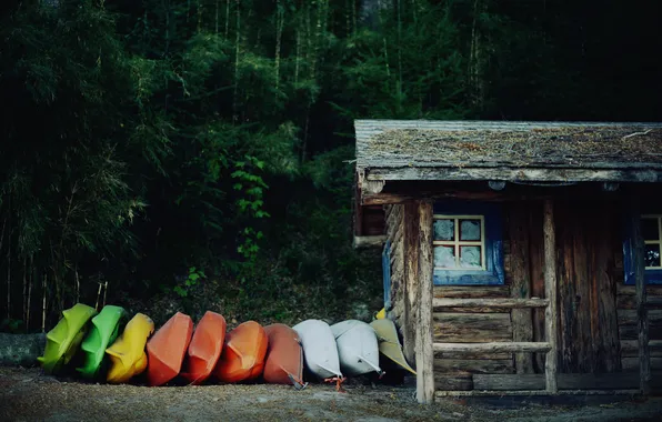 Картинка лес, цветные, лодки, домик