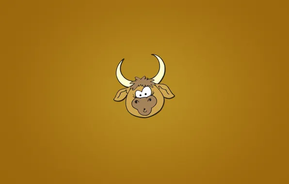 Морда, животное, минимализм, голова, рога, оранжевый фон, бык, bull