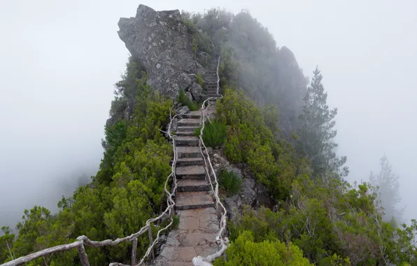 Картинка туман, гора, лестница, ступени