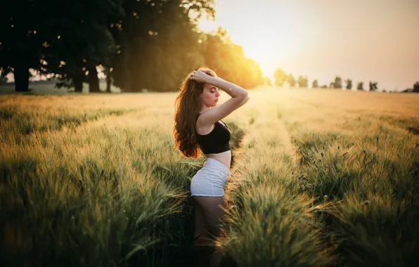 Картинка поле, трава, солнце, деревья, секси, поза, модель, шорты