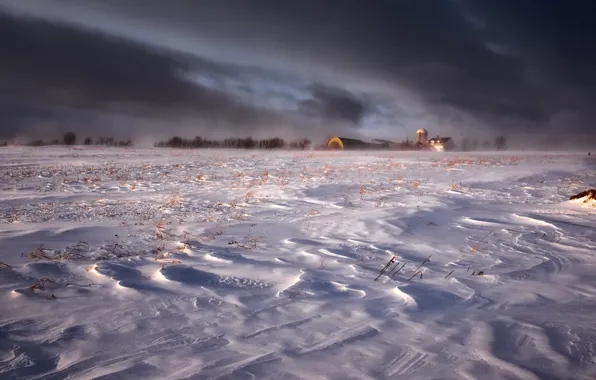 Картинка зима, поле, снег, природа, туман