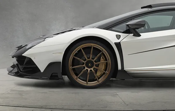 Картинка мощь, суперкар, спорткар, supercar, Lamborghini Aventador, Mansory, sports car, единственный экземпляр